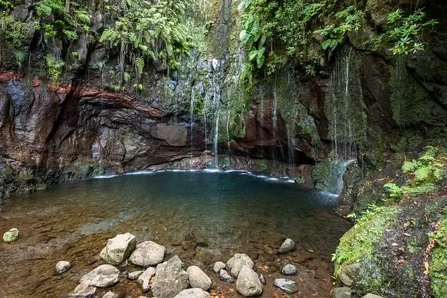 Waterfall in Madeira